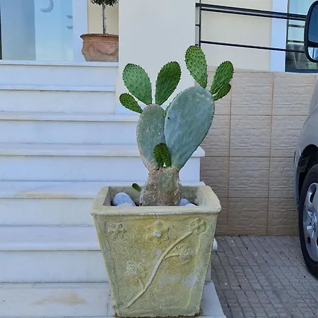 乔治城堡酒店 酒店 伊西翁